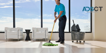Why Is It Essential to Hire a Professional Upholstery Cleaning Service in Brisbane?