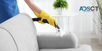Why Is It Essential to Hire a Professional Upholstery Cleaning Service in Brisbane?