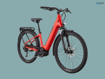 Cheap Electric Bicycle for sale
