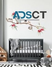Removable Wall Decals Australia, Buy Wall Stickers today.