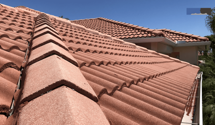 Roof Cleaning