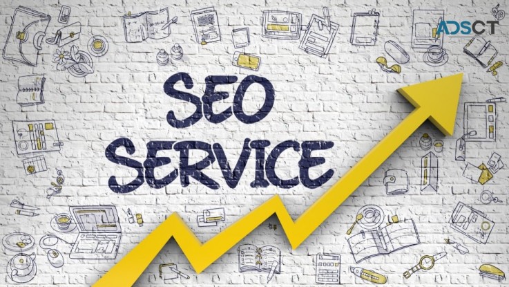 Searching for top seo agency in Delhi ?