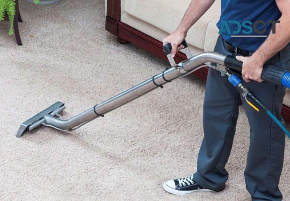 Professional Carpet Cleaning Services in Cranbourne