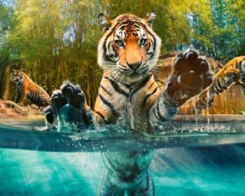 Caboolture Riverlakes Motel