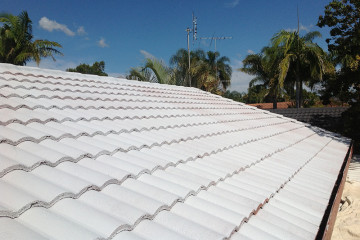 Ani painting Contractors