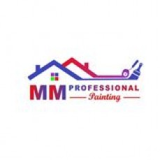 m m professional painting
