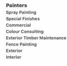 m m professional painting