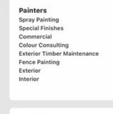 m m professional painting