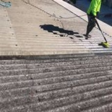 m m professional painting