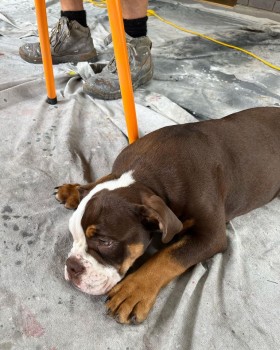 J & R Painting and Maintenenace