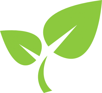 Target Collision Repairs