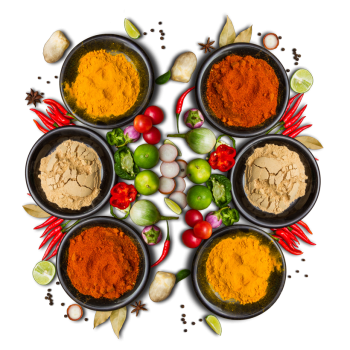 Krish Indian Cuisine