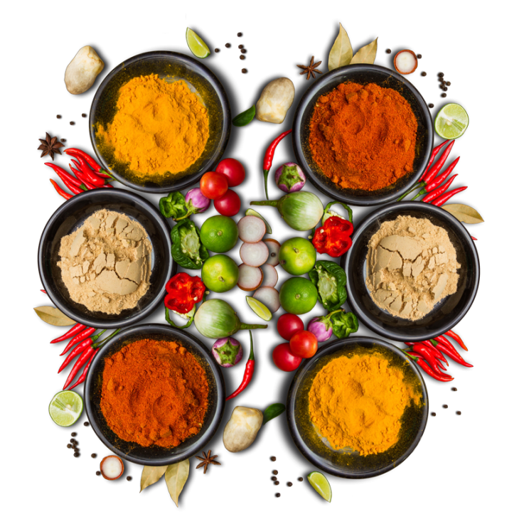 Krish Indian Cuisine