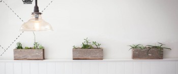 The Little Kitchen