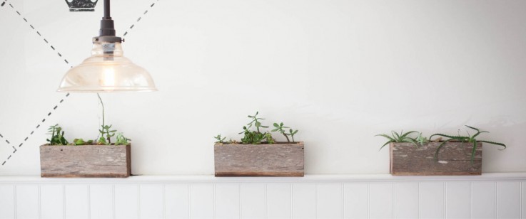 The Little Kitchen