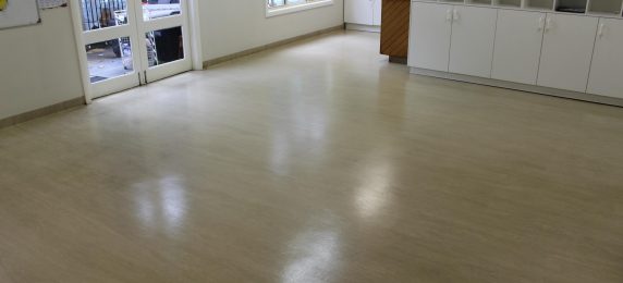 Vinyl Floor Care
