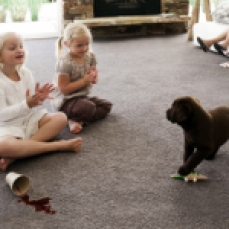 Eastern Flooring Solutions