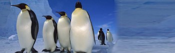 Arctic Blue Air Conditioning & Heating