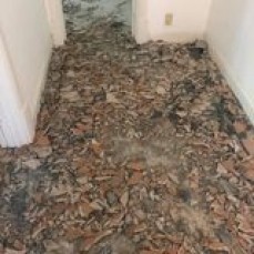 Wood Land's Timber Floors