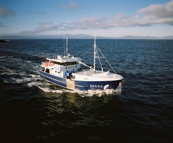 Mures Upper Deck
