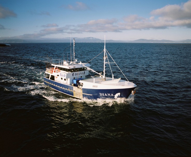 Mures Upper Deck