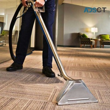 Carpet Cleaning Williamstown