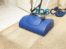 Carpet Cleaning Williamstown
