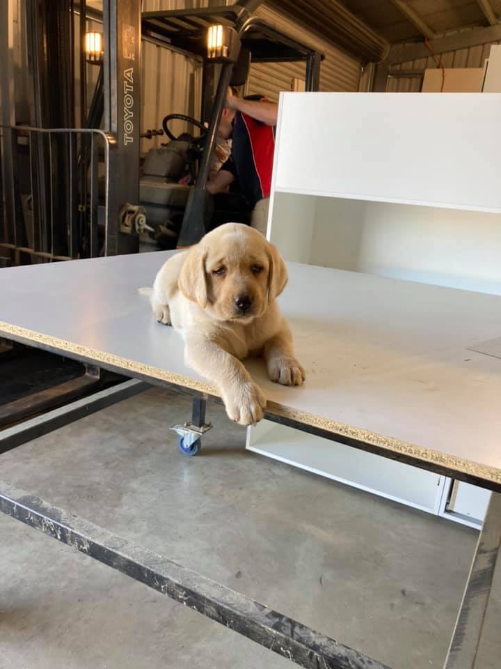 Howe Kitchens & Joinery