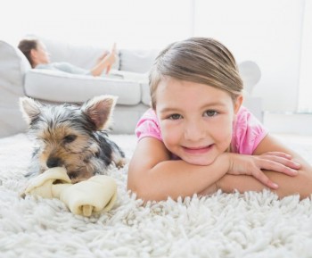 Ken O'Dea Floor Coverings