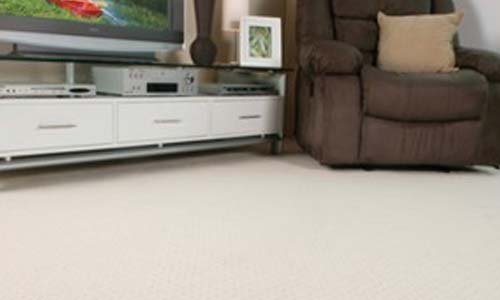 Carpet Options