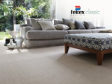 Carpet Kingdom
