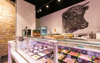 Master Craft Builders