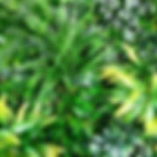 Hamiltons Landscape Supplies