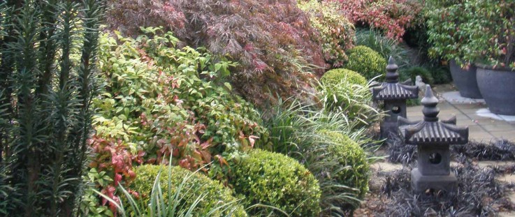 Kerrie Griffin-Moore Garden Design & Consultations