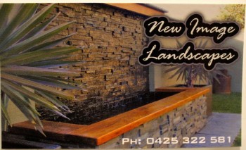 New Image Landscapes