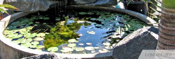 Betascapes Landscape Centre