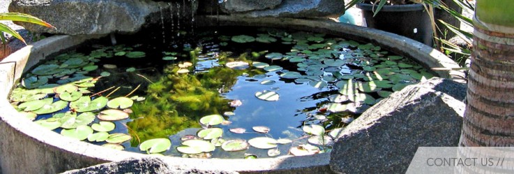 Betascapes Landscape Centre