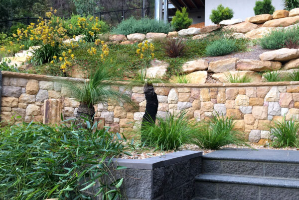 The Landscaped Garden