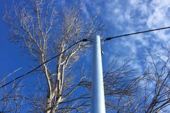 Prestige Poles