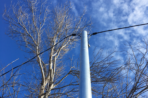 Prestige Poles