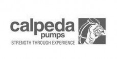 Alpha Electrics - Kingston