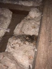 Southern Coast Services Pty Ltd