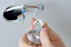 Electrical Wholesale Services Pty Ltd