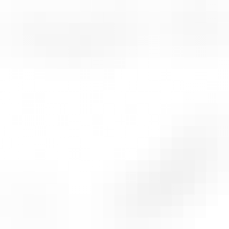 Phil Almond Property Services