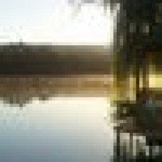 Mid Murray Services