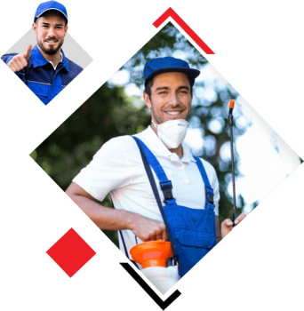 Active Termite Control
