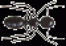 FUMAPEST Termite &amp; Pest Control Sydney