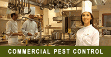 FUMAPEST Termite & Pest Control Sydney