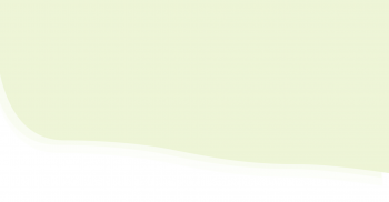 Sydney Pest Control Experts