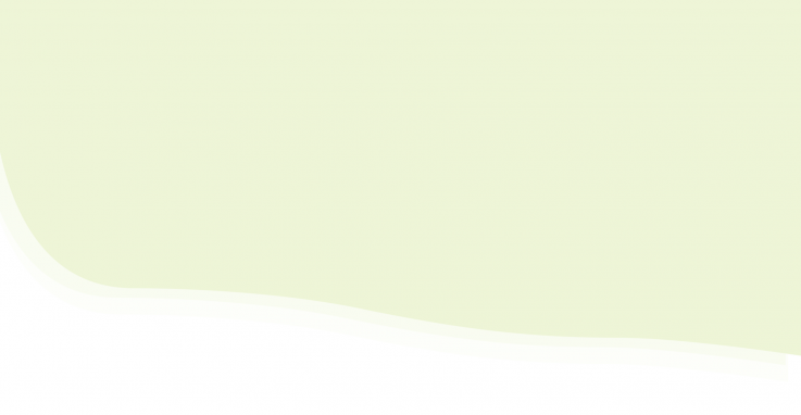 Sydney Pest Control Experts